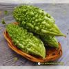 bitter-gourd-f1-dragon-88 - ảnh nhỏ 2