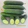 cucumber-f1-legend-307 - ảnh nhỏ 3