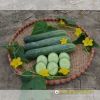 cucumber-f1-galaxy-107 - ảnh nhỏ  1