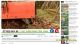 PLANTING RED SKY 89 CHILI BRINGS IN 100-200 MILLION VND NET PROFIT PER CROP IN CHAU THANH, TAY NINH.